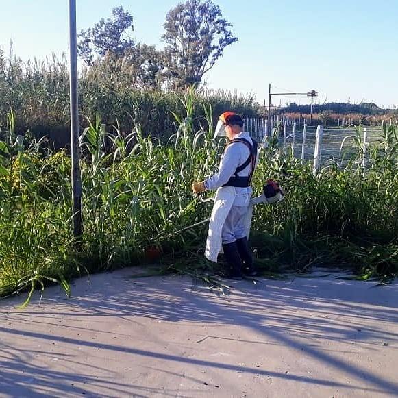 WhatsApp Image 2020-10-27 at 11.45.2