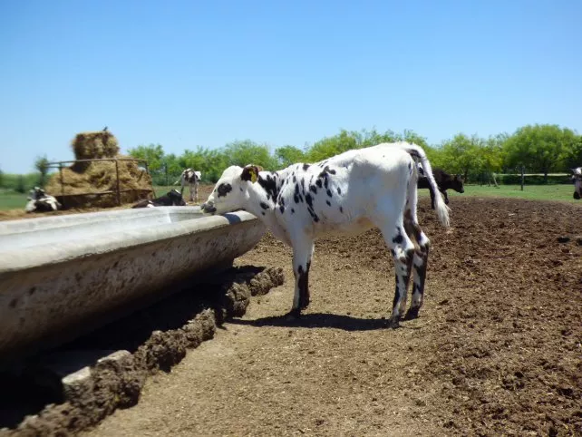 tambo agroecologico 3