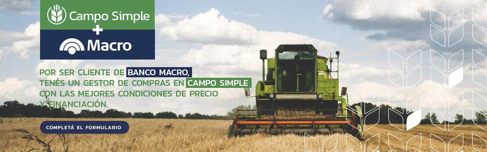 campo simple 2