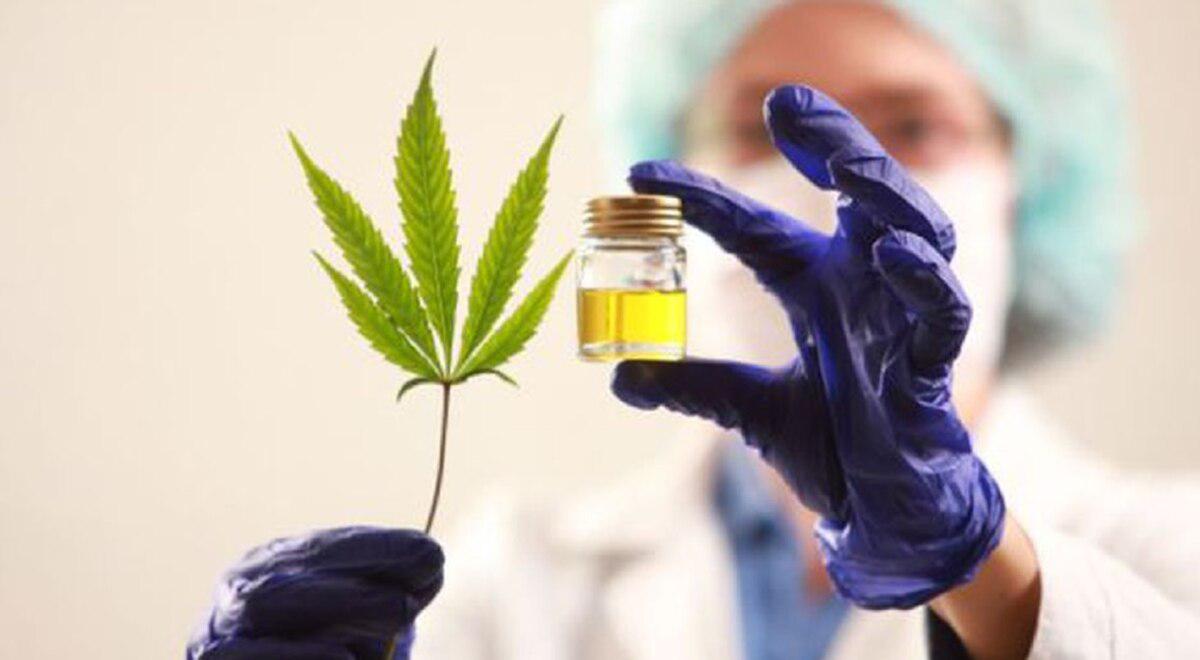 aceite cannabis