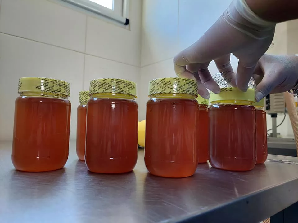 Entrega de envasadora de miel 3