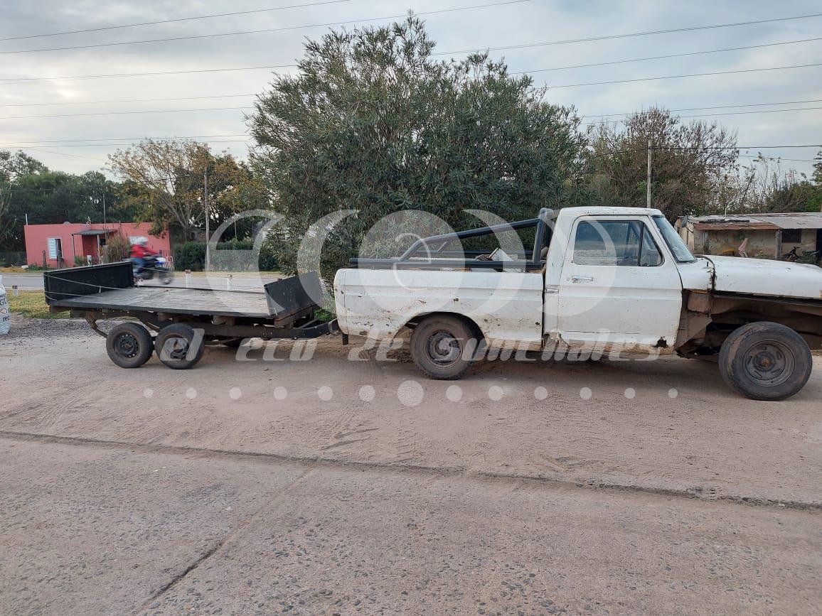 Robo colmena colonia bicha 2