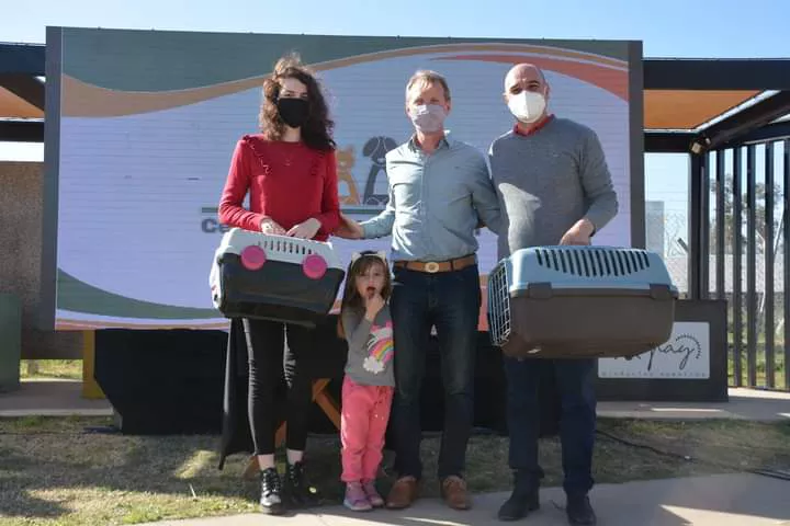 Centro de salud animal 4