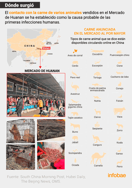 Grafico coronavirus 5
