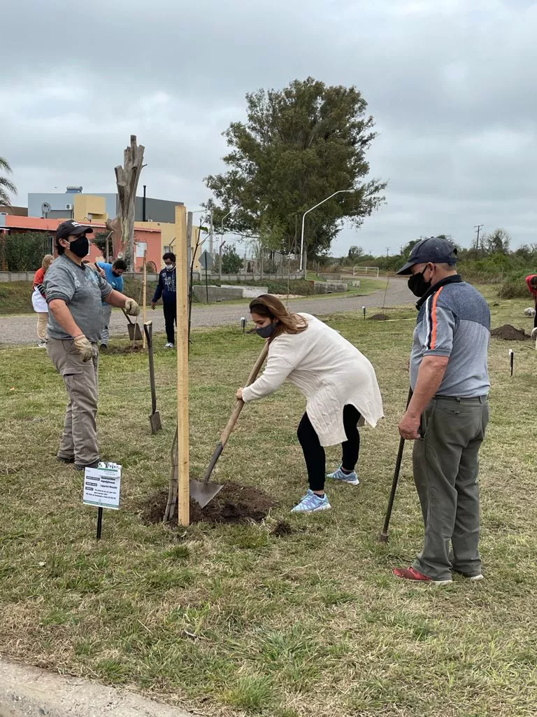 Forestacion con participacion 5