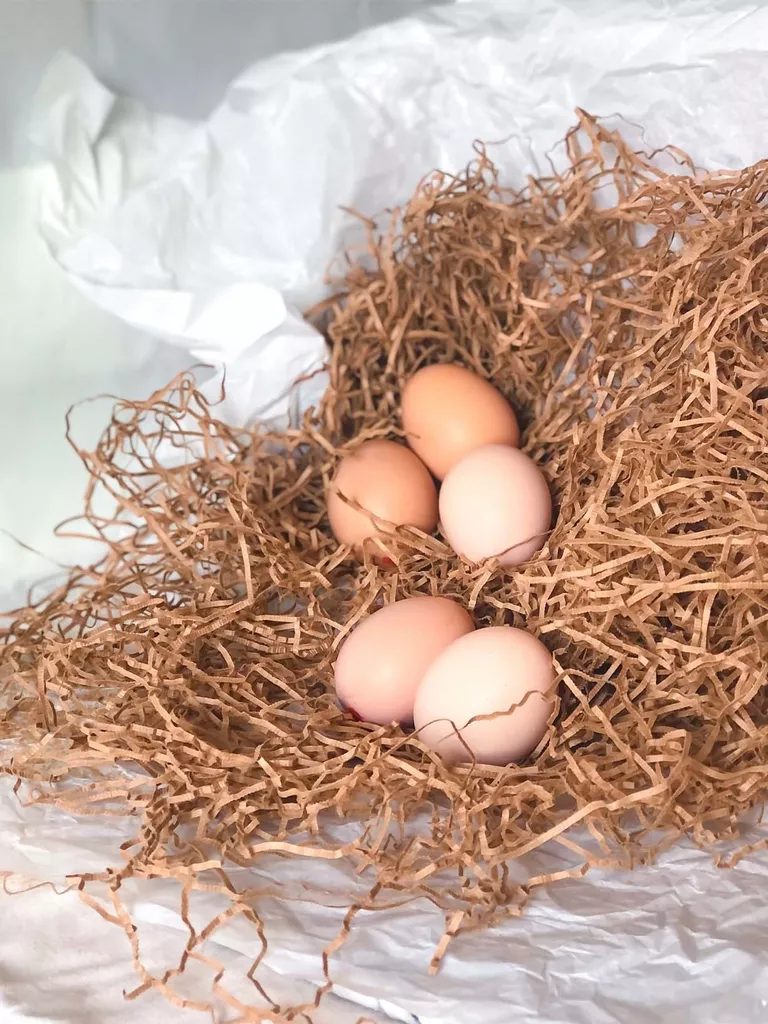 maple-huevos-organicos1-34210218bfdbef7dff16349322281458-1024-1024