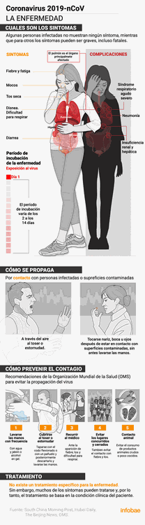 Grafico coronavirus 2