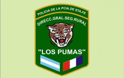 Los-Pumas 2