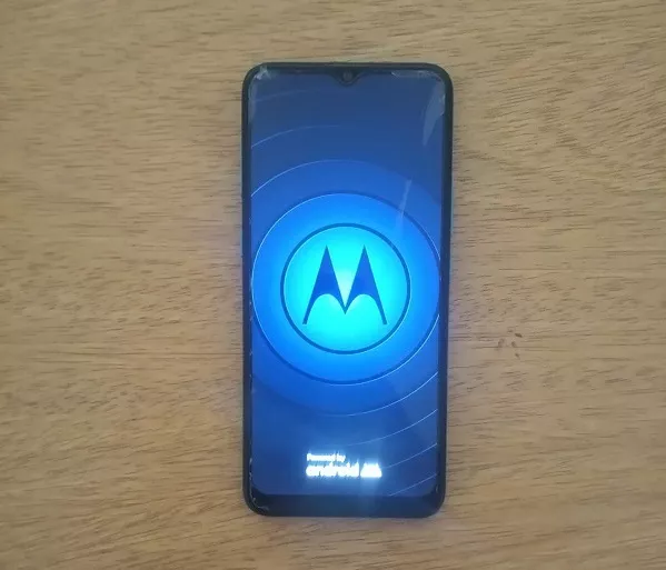 Recupero celular bis