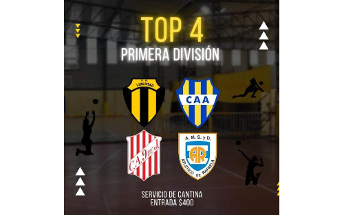 TOP 4 Voley