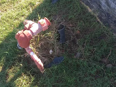 Robo en Libertad 1