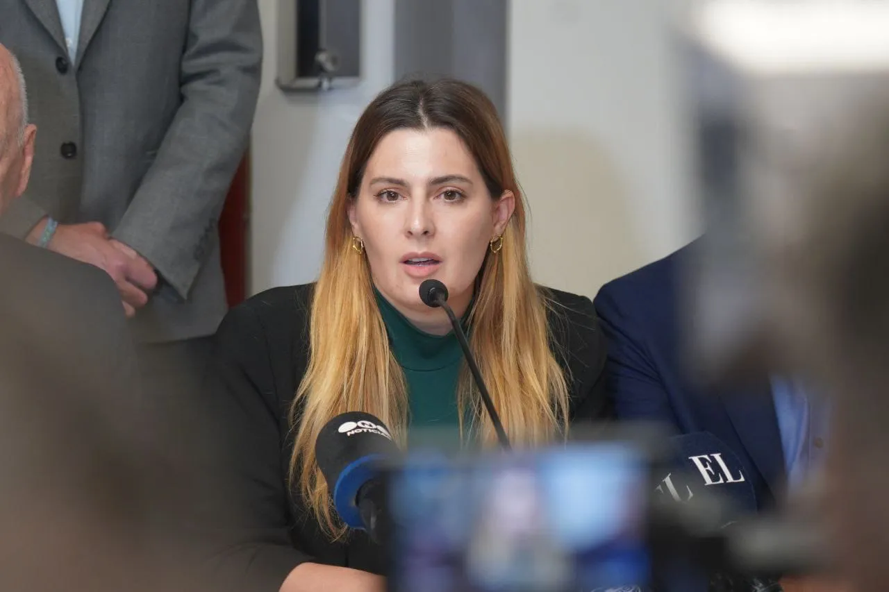 Diputada Lionella Cattalini 3