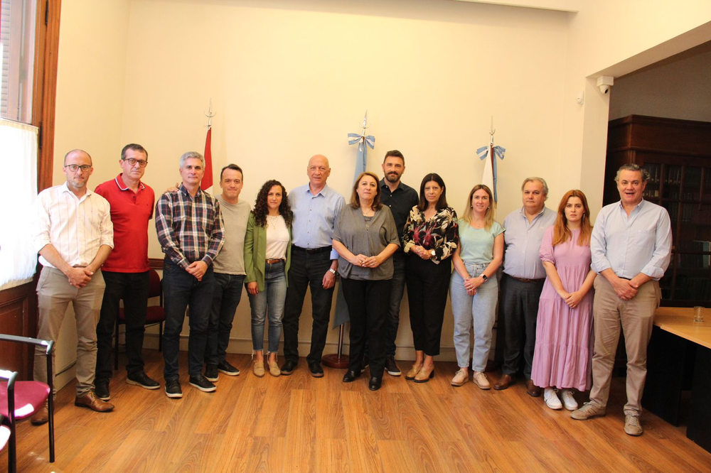 Presentacion judicial