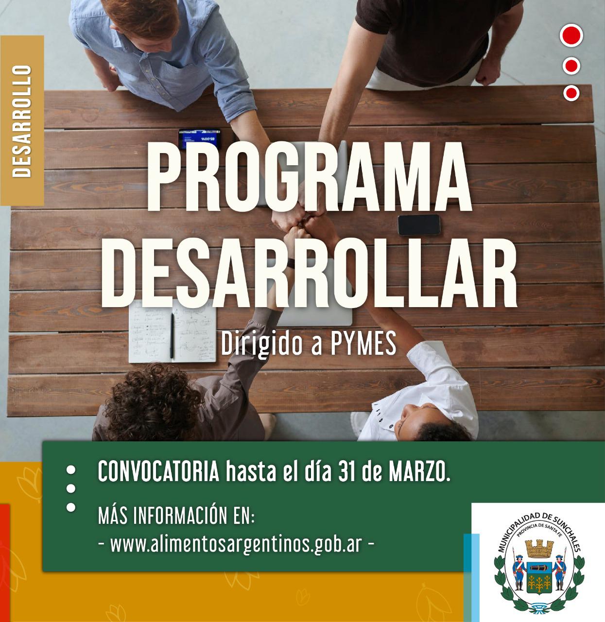 Programa desarrollar