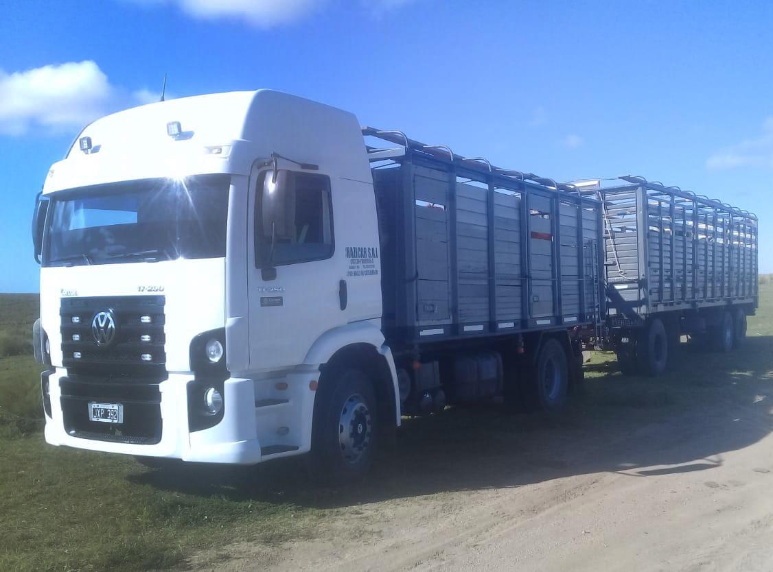 Camion volkswagen 2