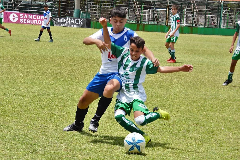Inferiores