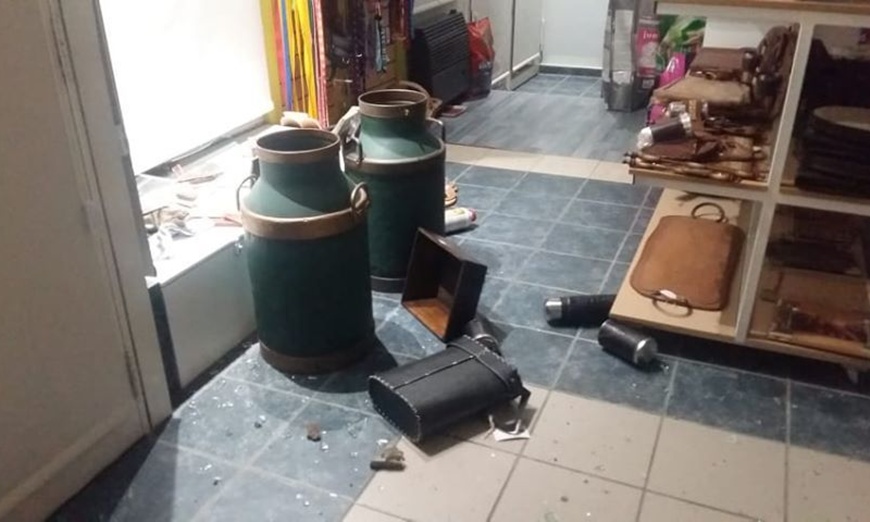 vidriera-veterinaria