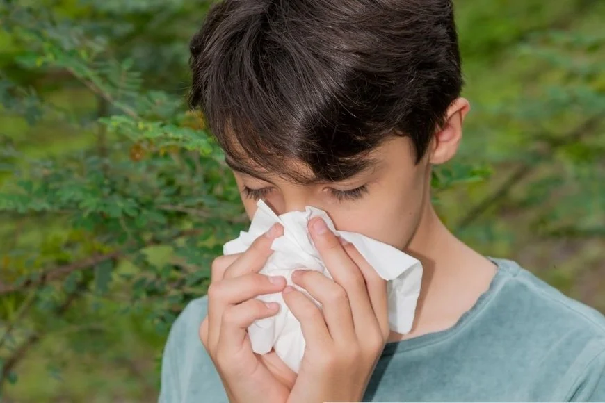 Resfrios y alergias 2