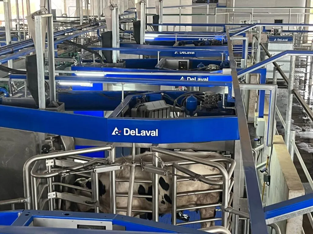 Tambo 4.0 milkynet 2