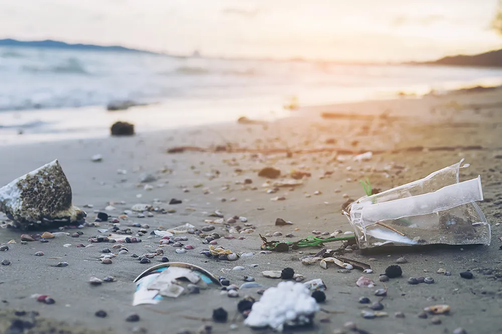 Contaminacion plasticos 1