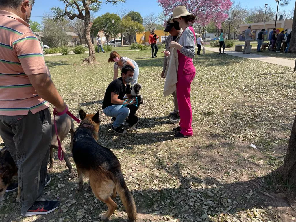 vacunacion antirrabica 2-10