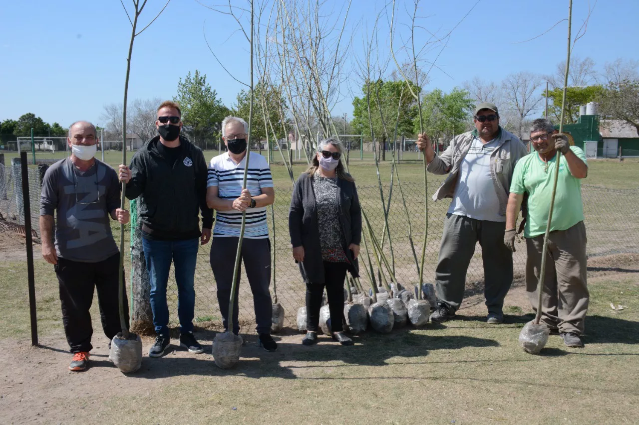 Entrega arboles Union