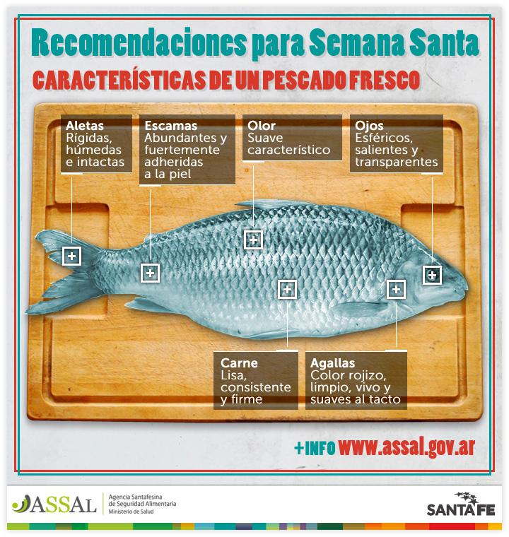 pescado-imagen