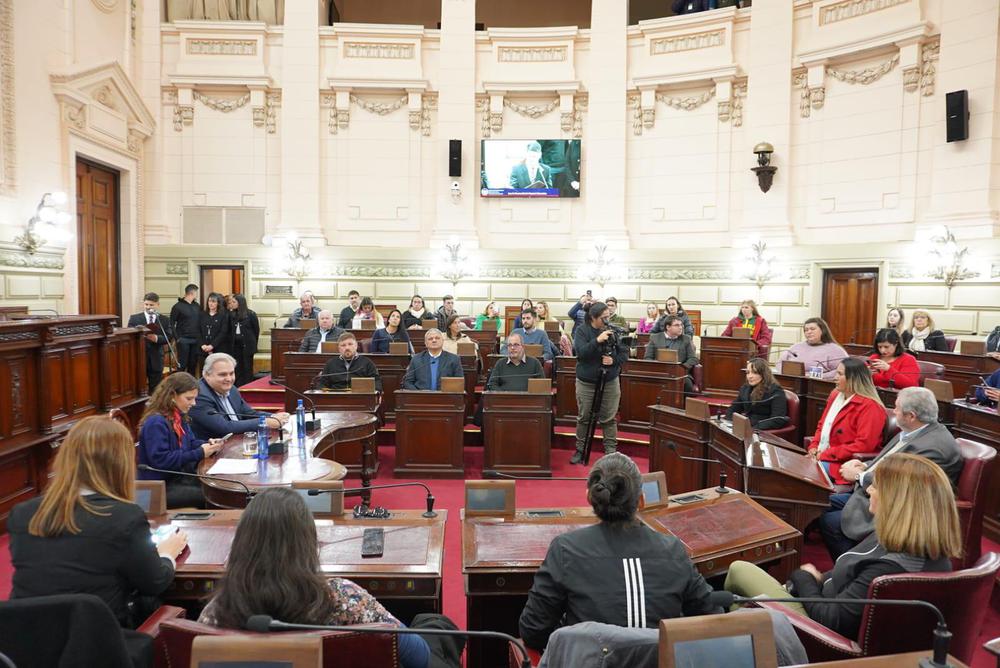 Camara diputados santa fe 3