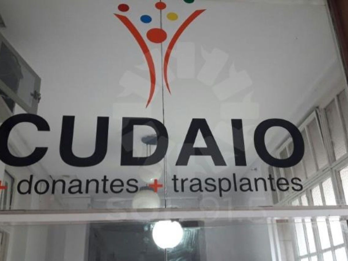 Cudaio