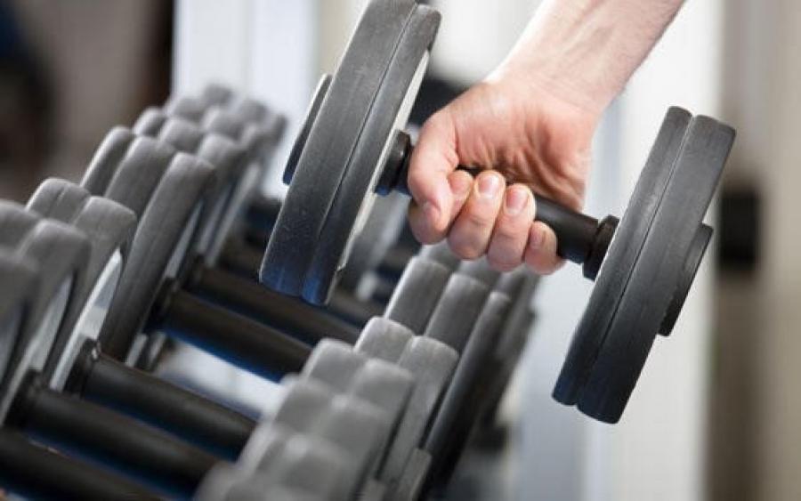 musculacion