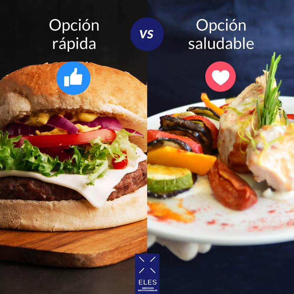 Servicio de alimentacion industrial 1