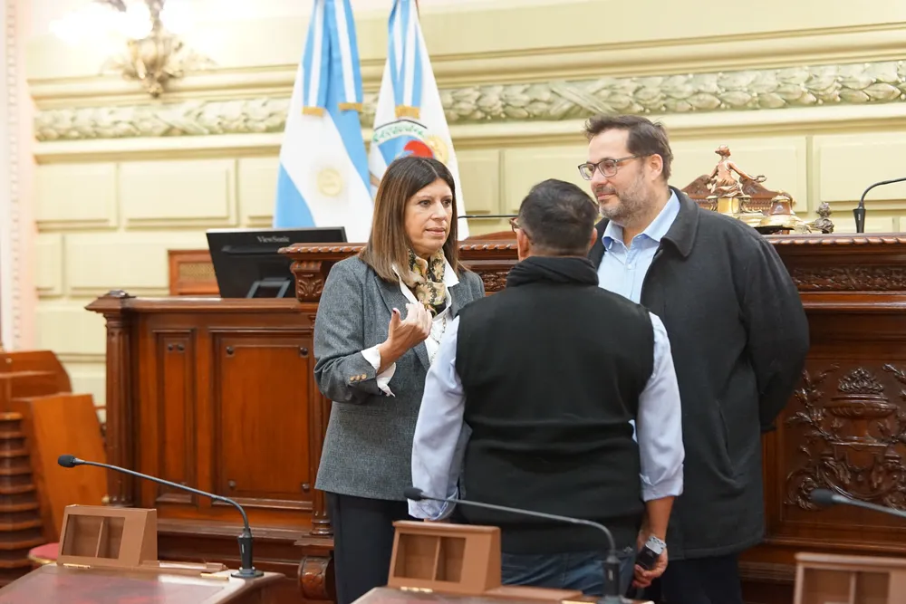 Camara de Diputados renovada 2