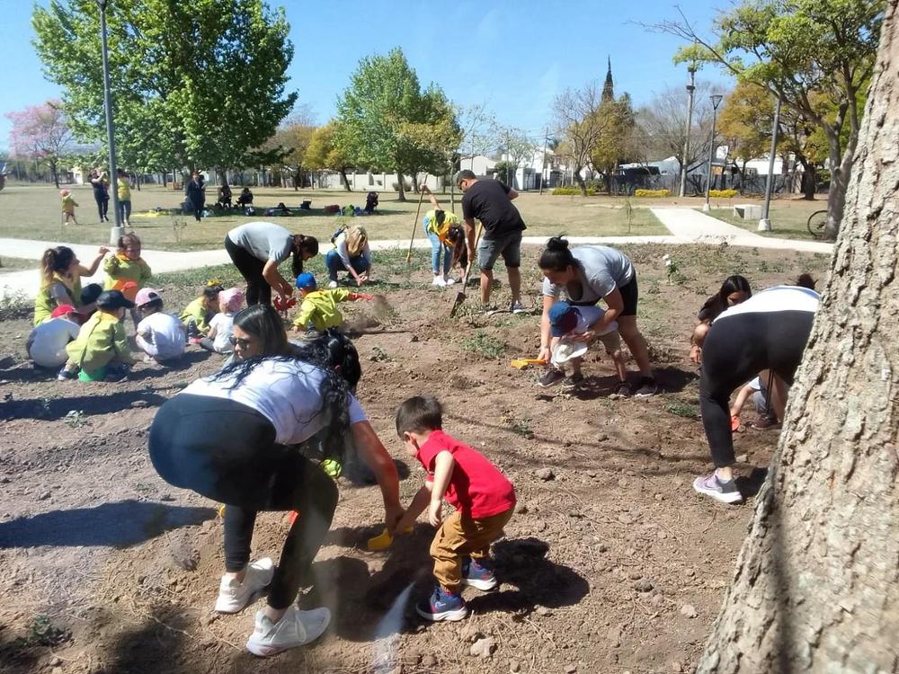 Concurso jardin terapeutico 1
