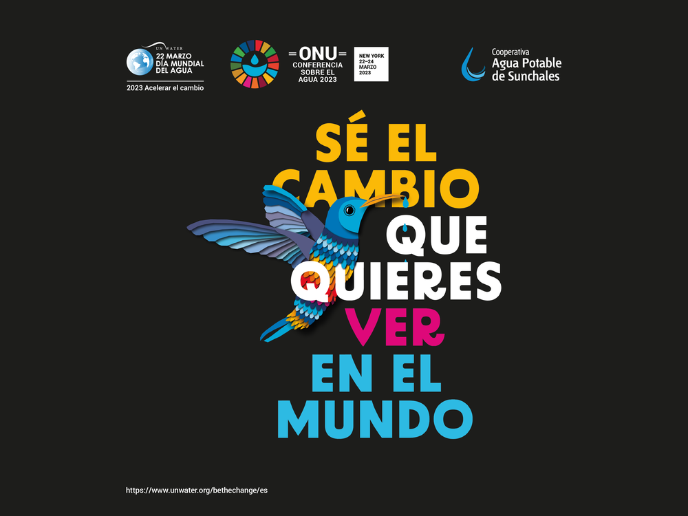Día del Agua 2023 - Gacetilla - REDES-01 bis