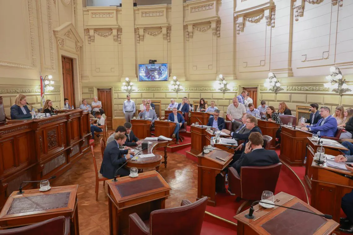 Camara de senadores de santa fe 3