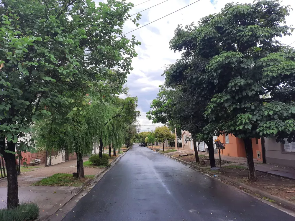 lluvia 17-1-22