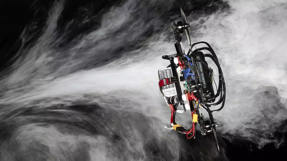 Los descubrimientos impactantes 2023 1