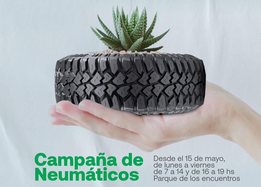 Campana de neumaticos