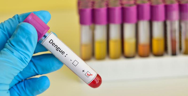 dengue 2
