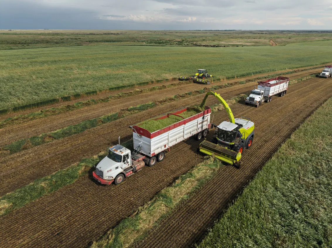 nueva picadora JAGUAR 1200 de CLAAS 3