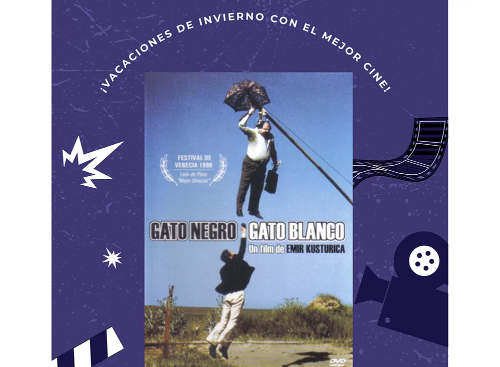 Flyer Gato
