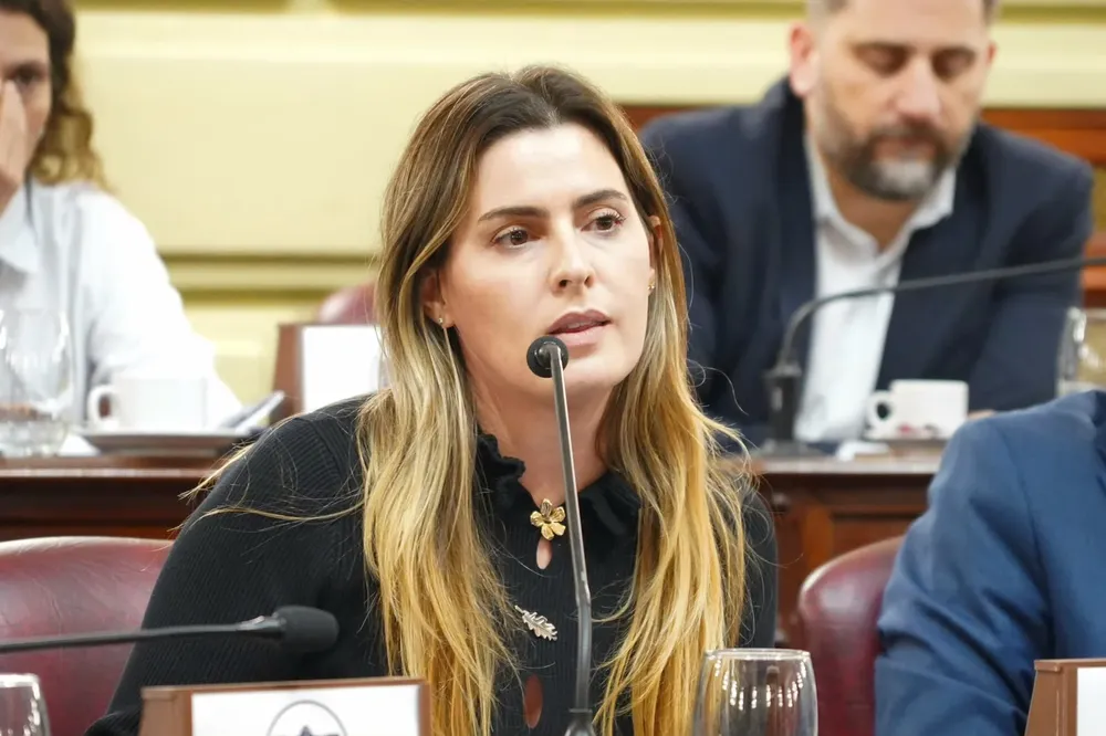 Diputada provincial Lionella Cattalini 5