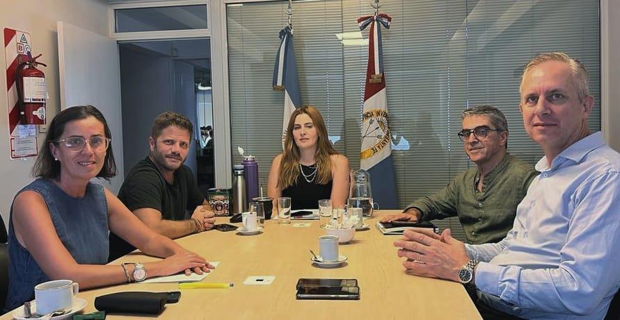Comision bicameral de emergencia
