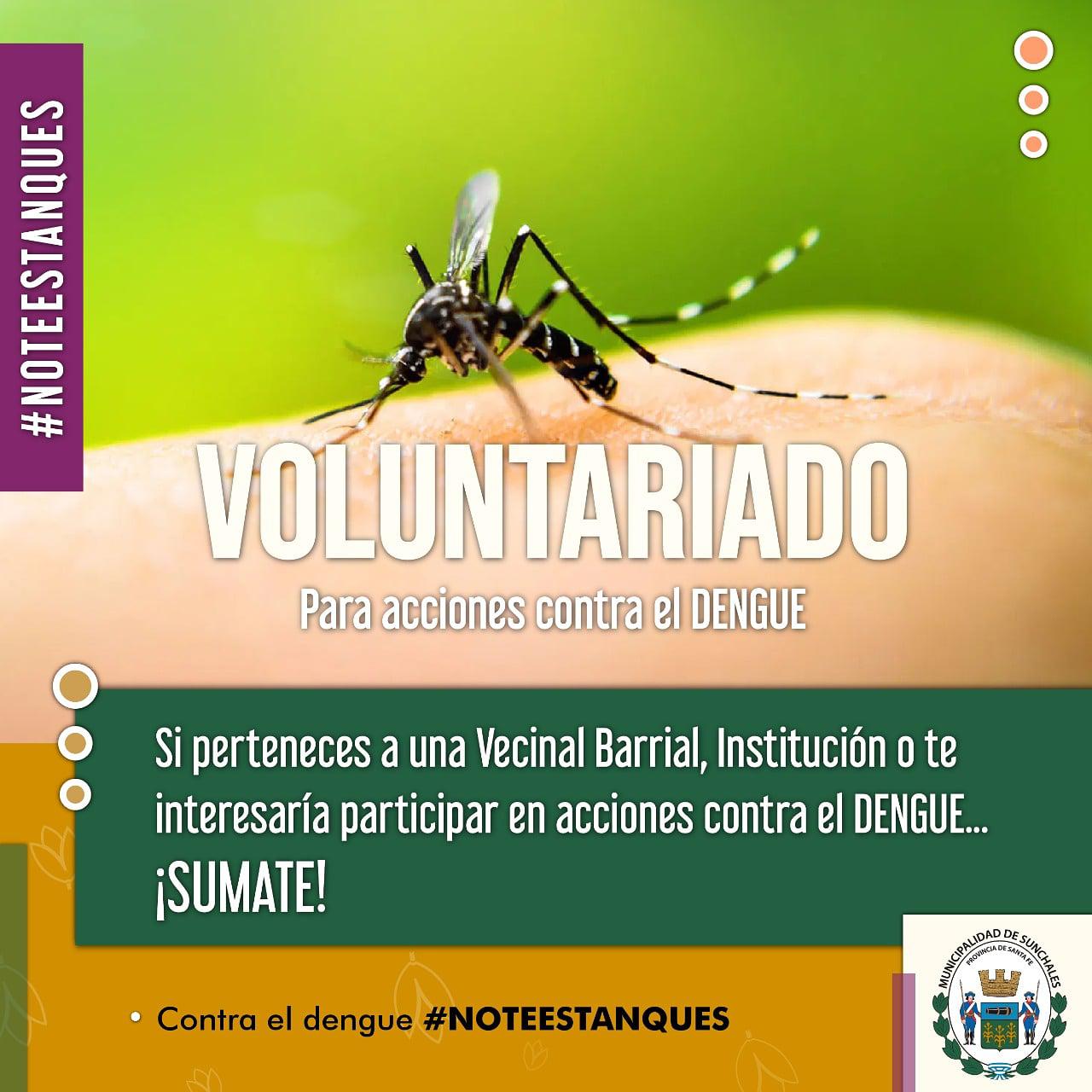 voluntariado contra el dengue