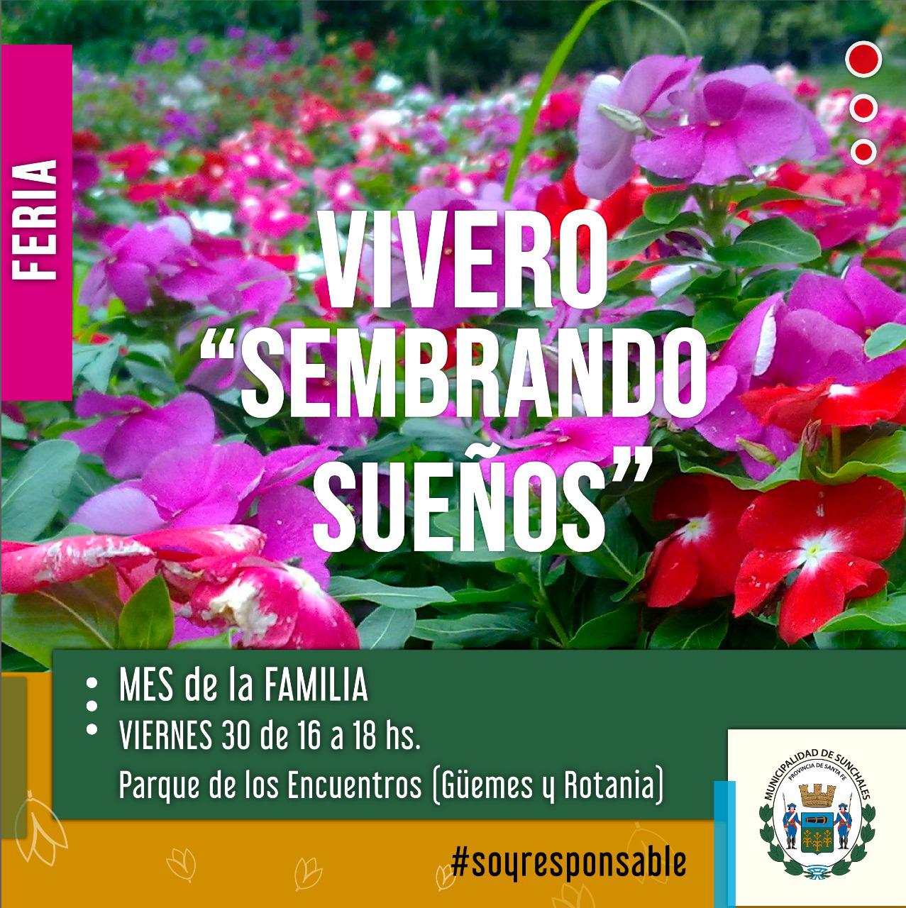 vivero sembrando 6