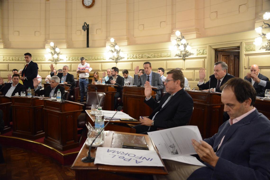 camara senadores prov 2020