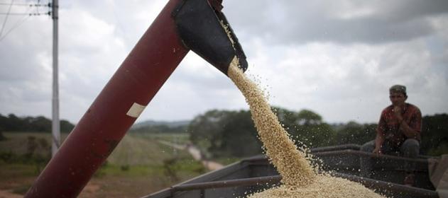 i7372-granos-631x280 (1)