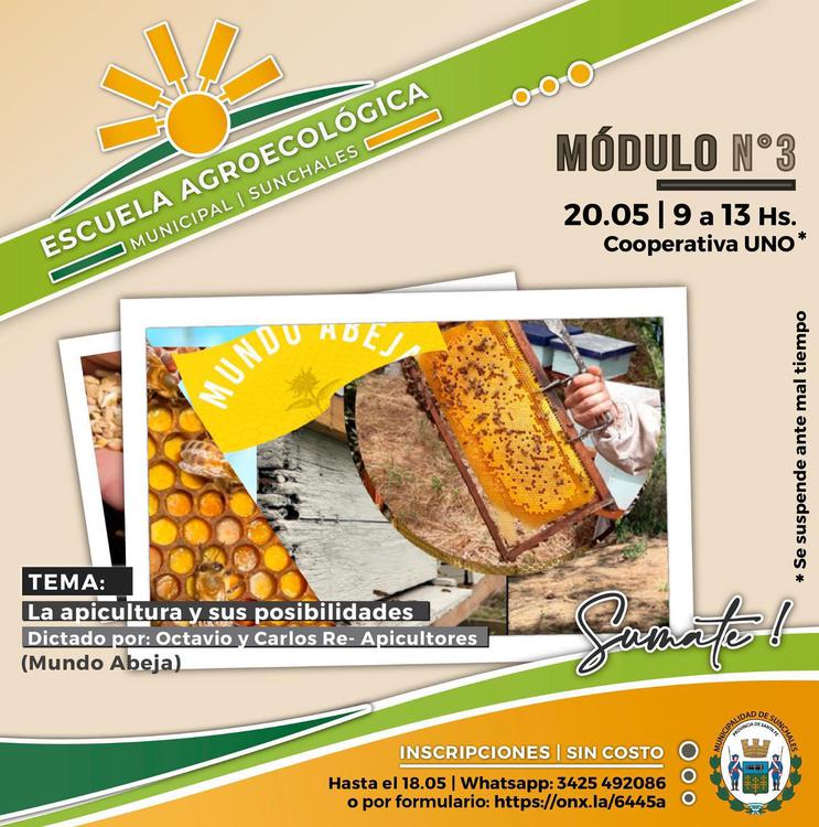 Escuela Agroecologica - Modulo apicultura