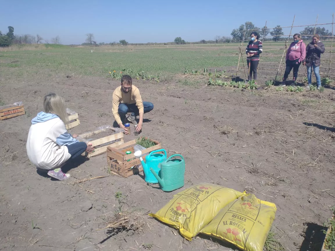 Taller EMAES 2
