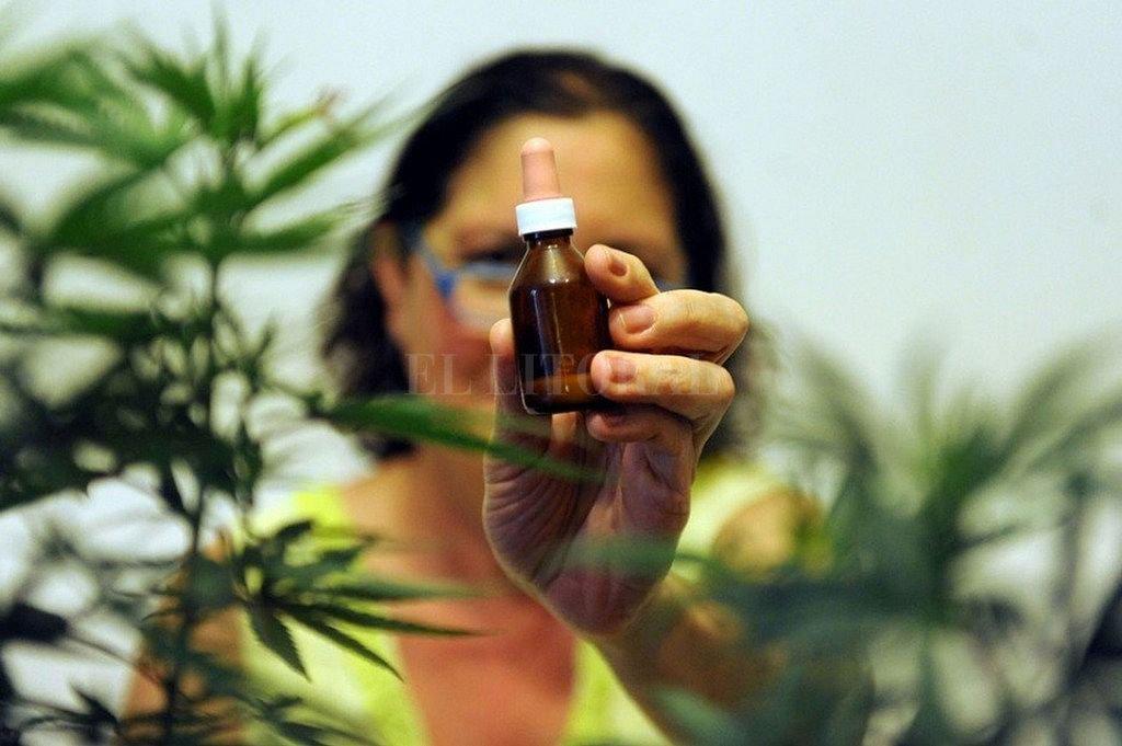 aceite cannabis 1